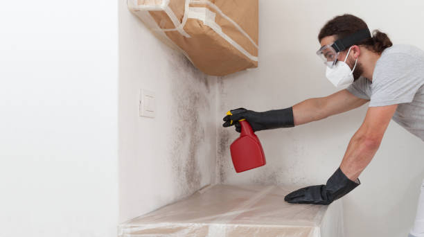 Professional Bathroom Mold Removal technician working in Bellevue, PA