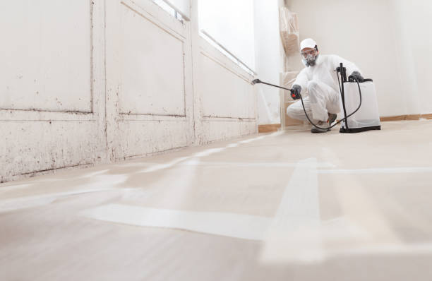 24/7 Emergency Bathroom Mold Removal experts in Bellevue, PA